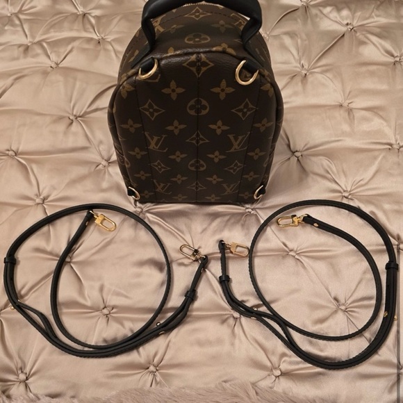 NWT‼️ LOUIS VUITTON PALM SPRINGS MINI BACKPACK - Picture 5 of 5